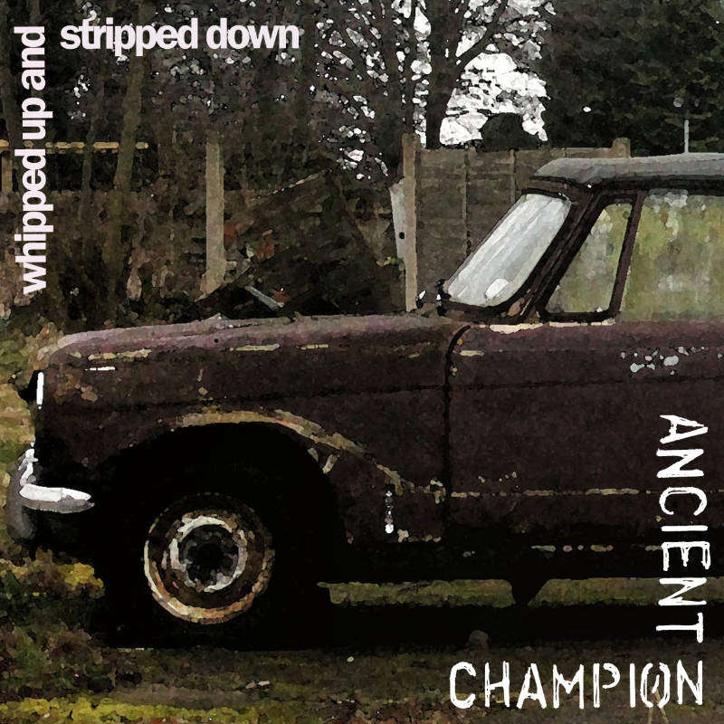 cover art for Whipped Up and Stripped Down